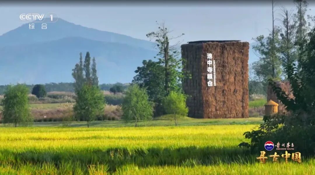 挖出20万公斤炭化稻米！良渚古城的“粮食安全防线”有多强