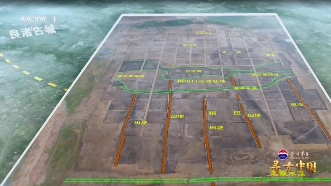 挖出20万公斤炭化稻米！良渚古城的“粮食安全防线”有多强