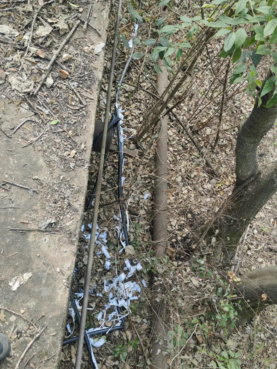 得手、藏匿...“完美计划”就差最后一步，被团灭了