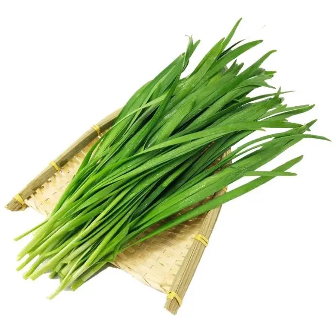 小心！城市绿化带里的葱兰不是韭菜，一居民误食中毒