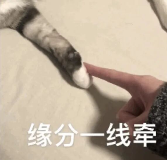 绍兴女子家里价值40万元黄金被前男友偷走偿还网贷，一时心软3年后才报警