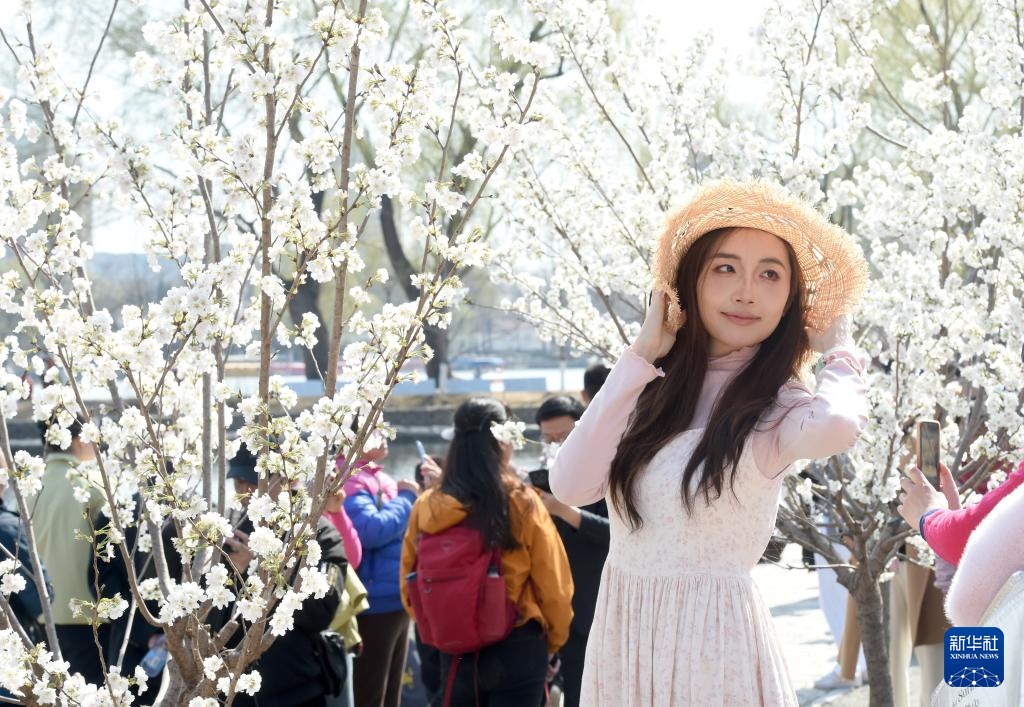 北京玉渊潭春花争艳