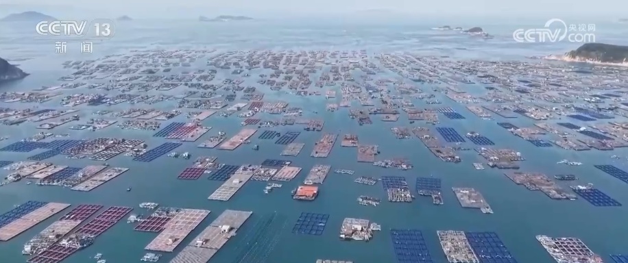 从追求产量到绿色引领 中国水产养殖业为全球渔业转型提供“中国方案”