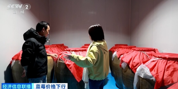 蓝莓价格，跳水了！