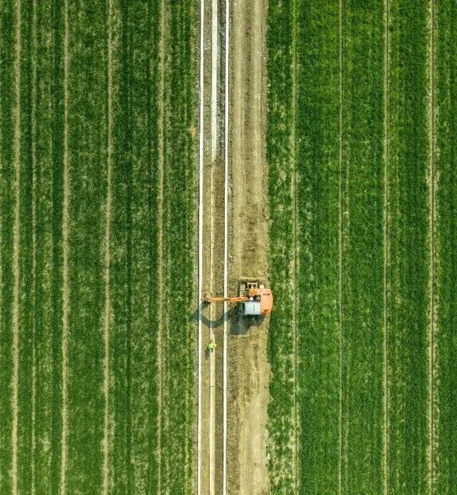 二月二，龙抬头