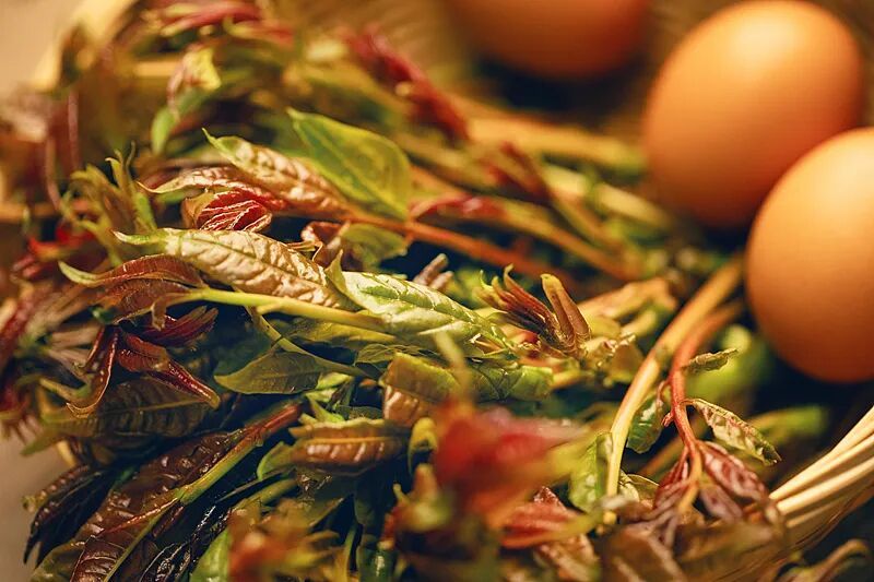 今日春分，讲个冷知识！