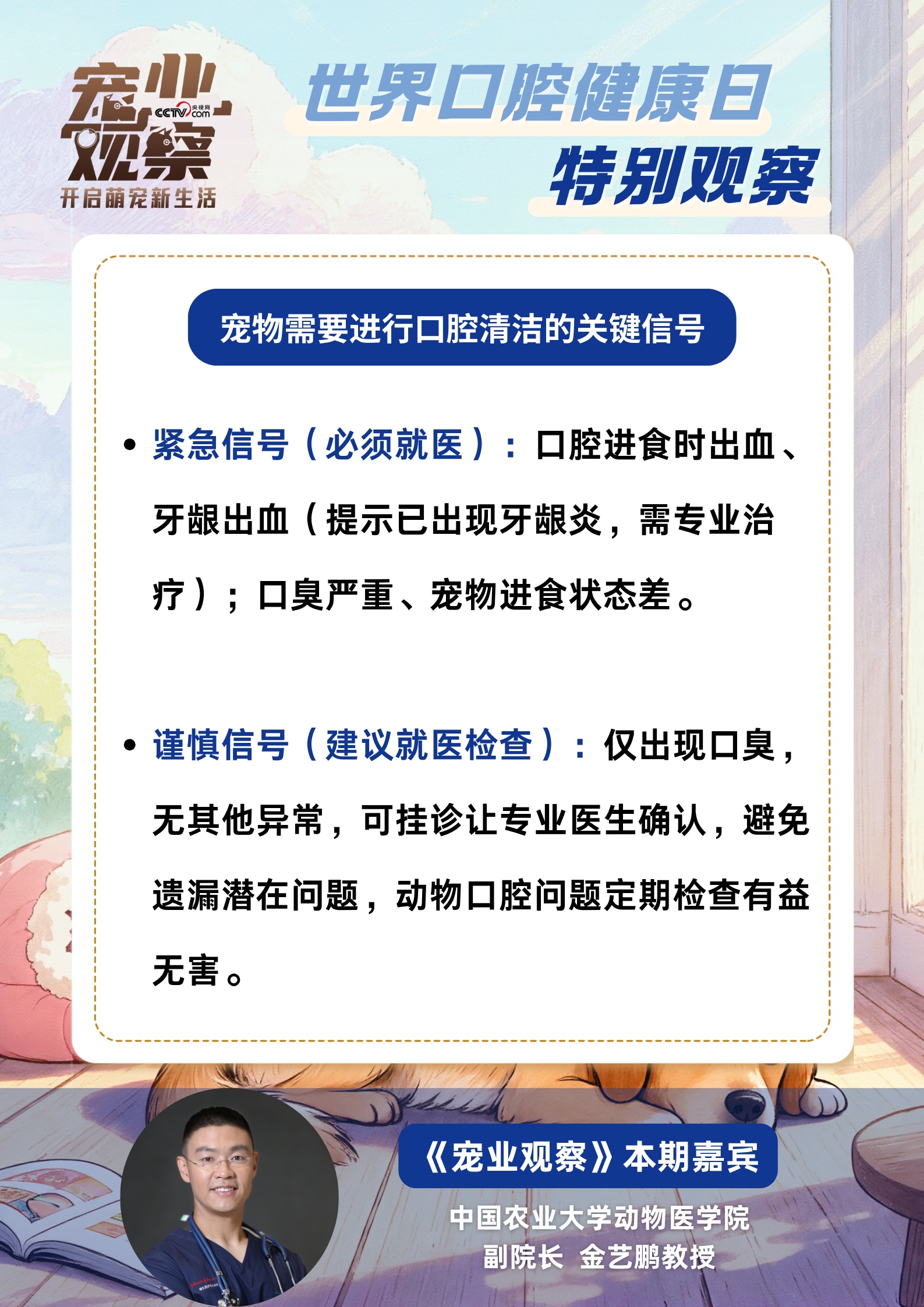 世界口腔健康日特别观察：如何科学守护毛孩子口腔健康？专家帮你划重点！