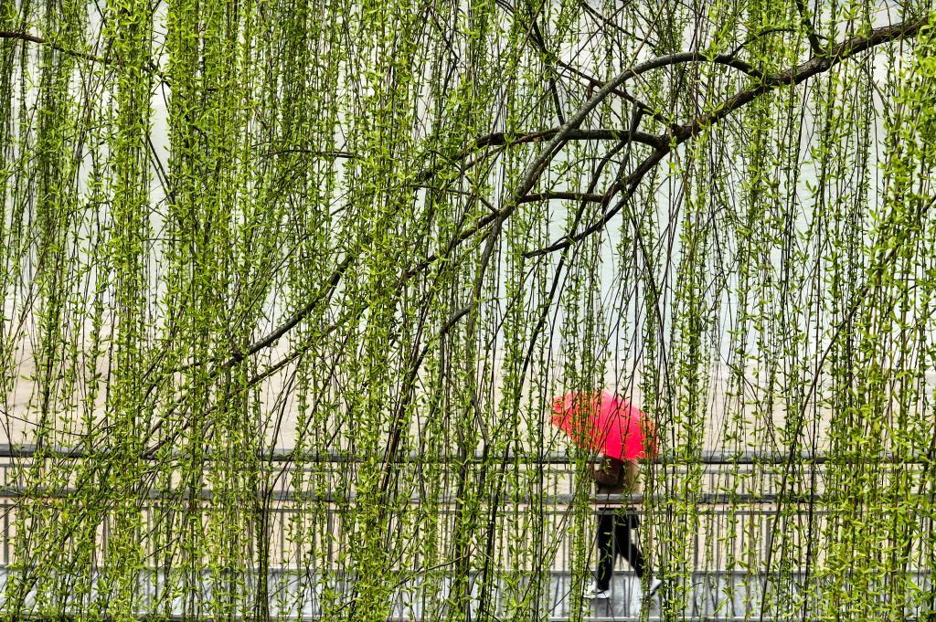 科学与健康丨花粉过敏季到来，如何应对？