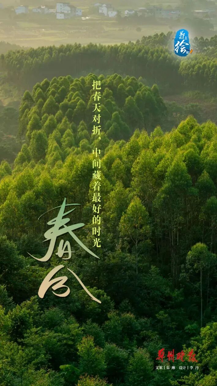 郑在绘报 | 春分：把日子过成刚刚好的样子