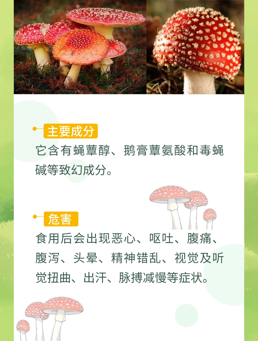 春分踏青,一起找到藏在草地上的“可疑物” 春分踏青,一起找到藏在草地上的“可疑物”