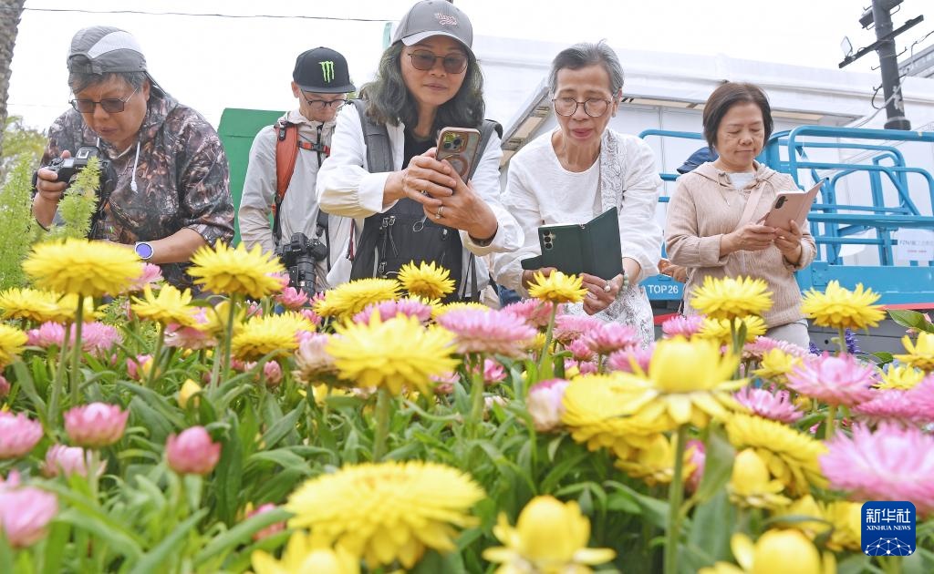 香港花卉展开幕 香港花卉展开幕