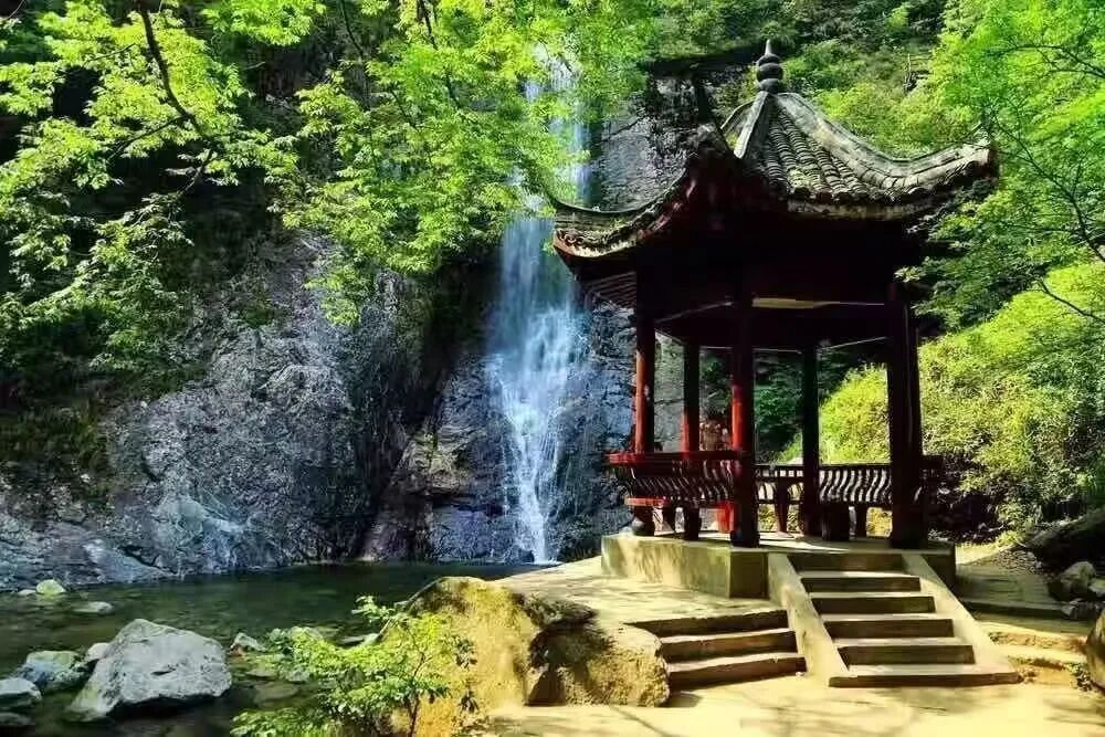 春假福利来了！合肥野生动物园、姥山岛等多个景区免门票