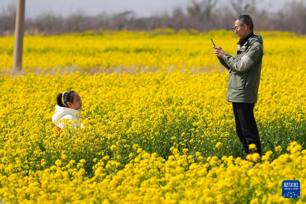 山西运城:花海春色 山西运城:花海春色