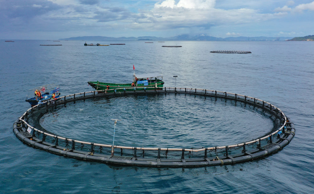 约占全球56%！中国渔业好“丰”景