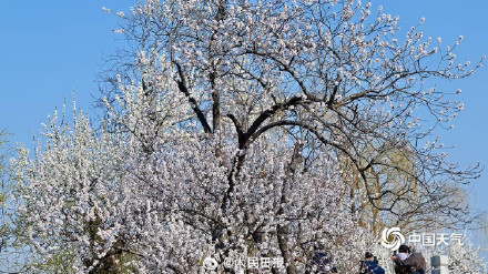 颐和园大写的春和景明