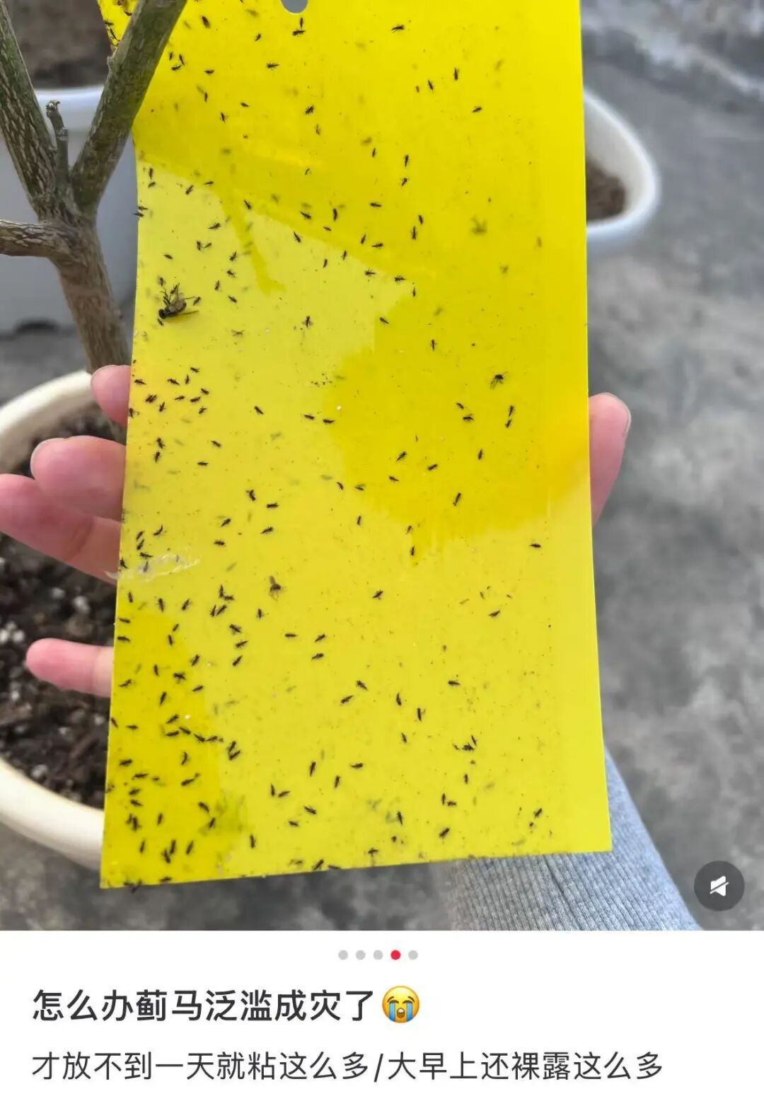 提醒！广东人最近少穿这种颜色衣服出门