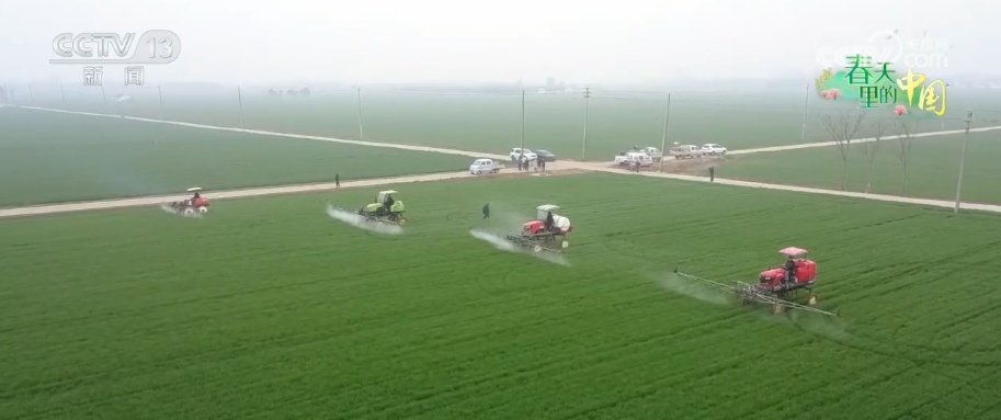 “科技提质增效+金融活水滴灌”为夏粮稳产丰收筑牢基础