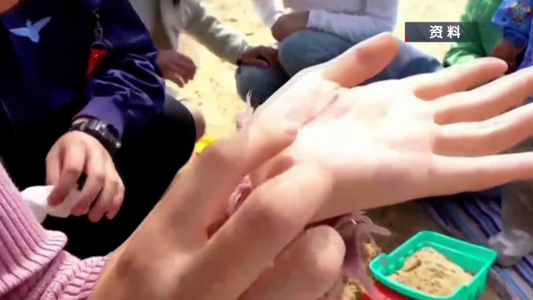 警惕!风筝线成“伤人线” 警惕!风筝线成“伤人线”