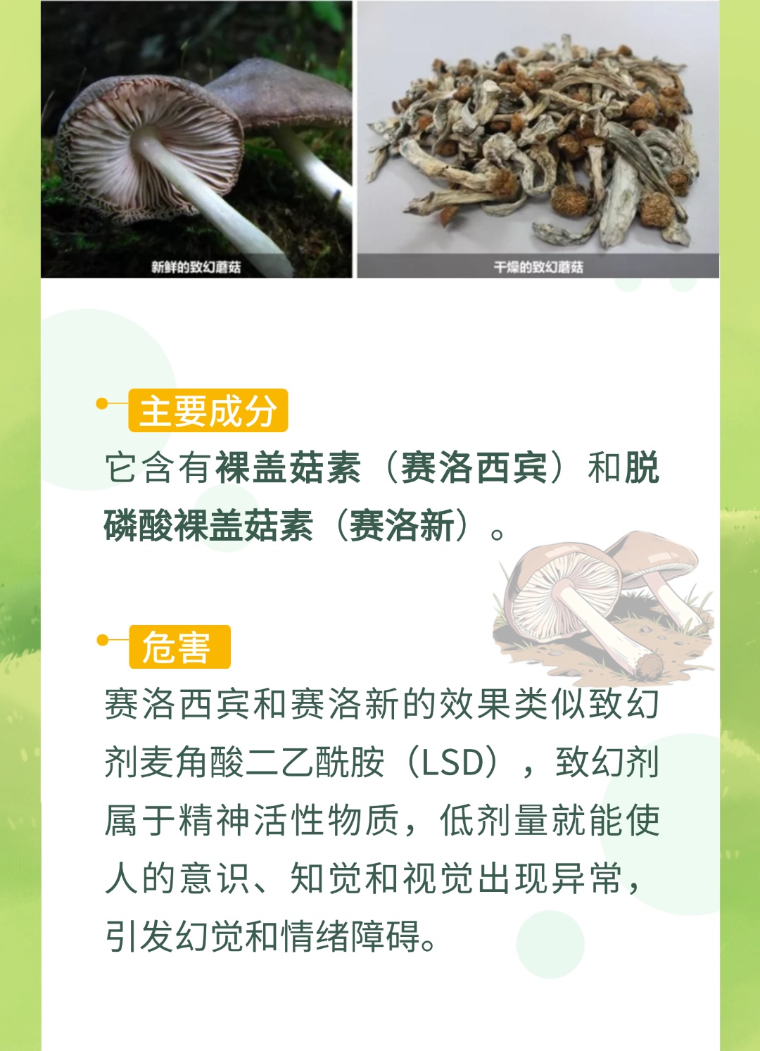 春分踏青,一起找到藏在草地上的“可疑物” 春分踏青,一起找到藏在草地上的“可疑物”