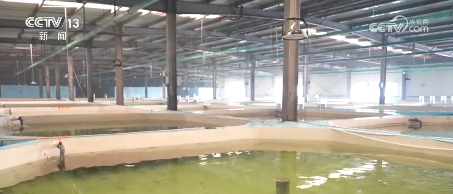 硬核技术锻造“高精尖”产品 传统产业加速向“智”向“绿”玩出新组合