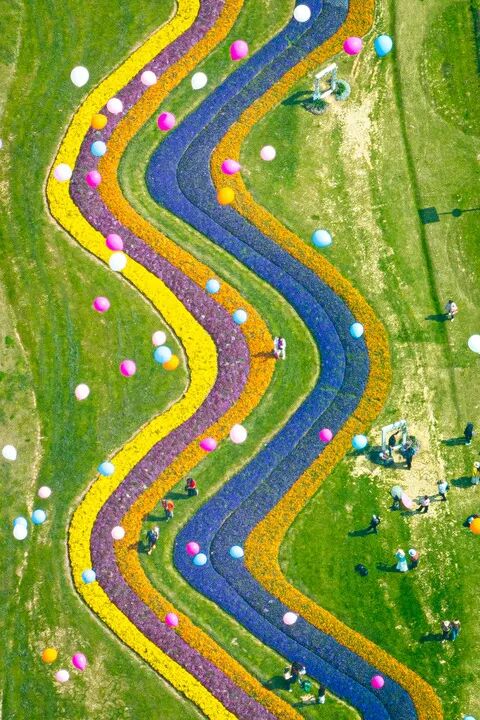 今日春分，讲个冷知识！