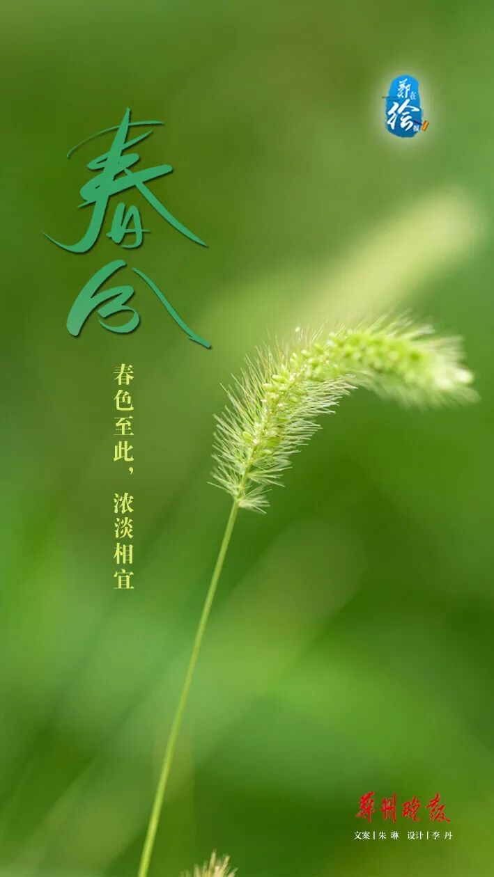 郑在绘报 | 春分：把日子过成刚刚好的样子