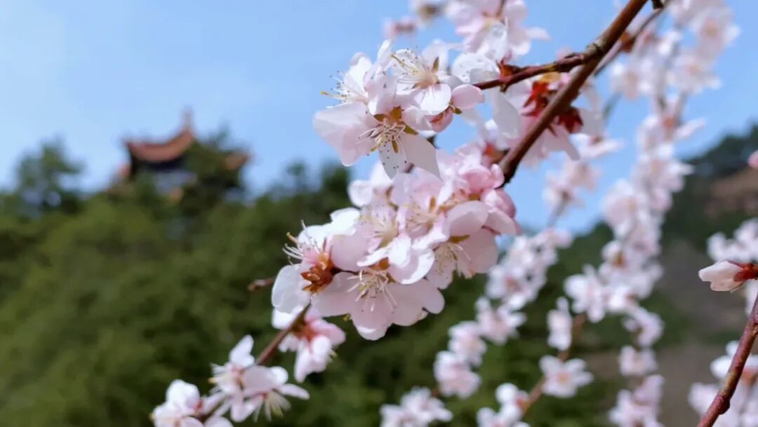 好兆头！就在今日22时46分，下次相逢要等19年