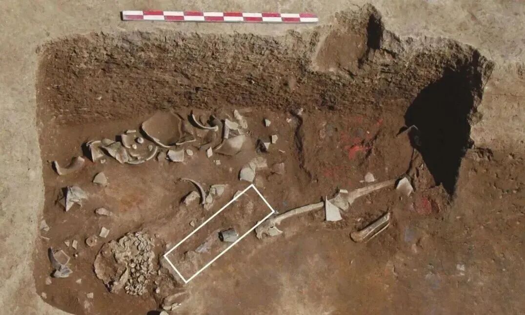 二月二,龙抬头,一同走近“华夏第一龙” 二月二,龙抬头,一同走近“华夏第一龙”