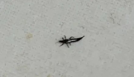 提醒！广东人最近少穿这种颜色衣服出门