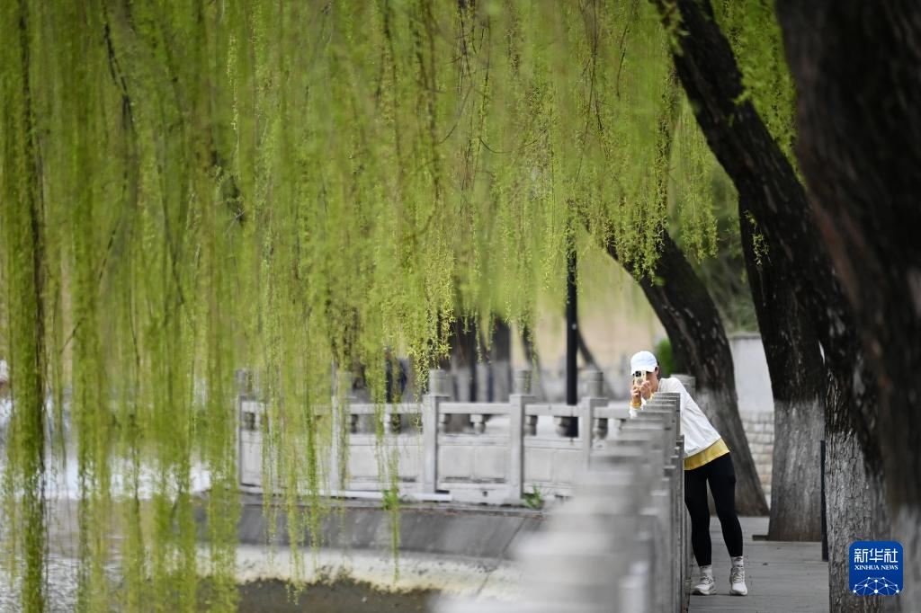 西安古城墙下涌动体育春潮 西安古城墙下涌动体育春潮
