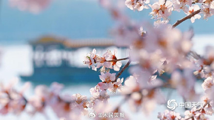 颐和园大写的春和景明