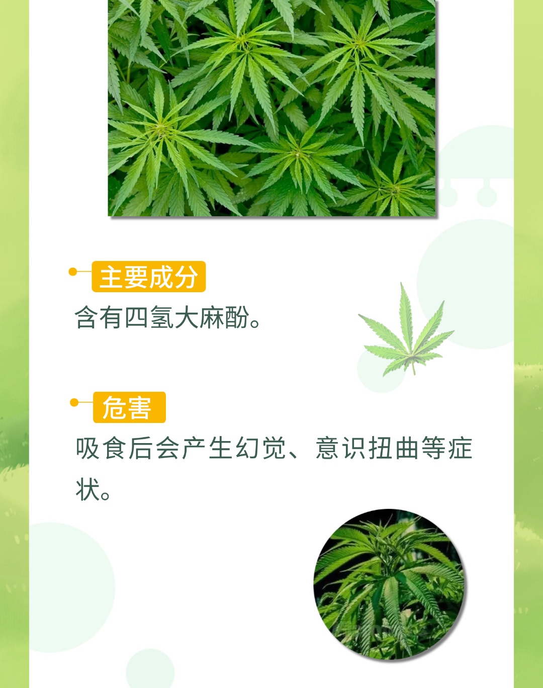 春分踏青,一起找到藏在草地上的“可疑物” 春分踏青,一起找到藏在草地上的“可疑物”