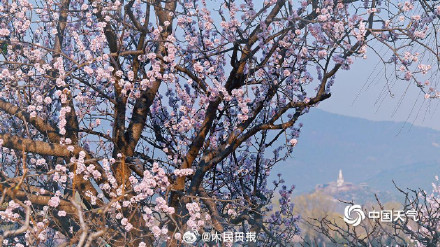 颐和园大写的春和景明