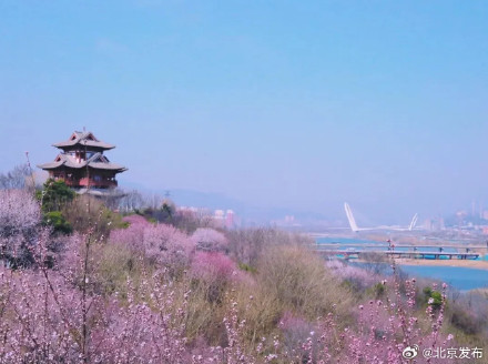 永定塔将于3月21日正式对外开放