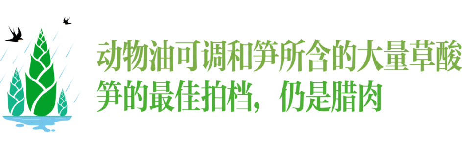 上春山｜春分，挖笋去！这份指南请收好