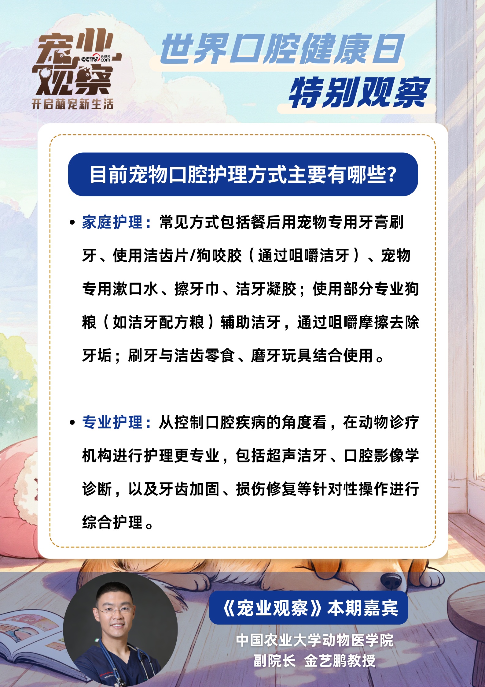 世界口腔健康日特别观察：如何科学守护毛孩子口腔健康？专家帮你划重点！