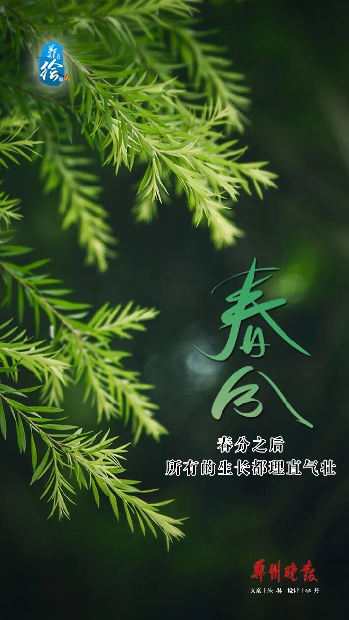 郑在绘报 | 春分：把日子过成刚刚好的样子