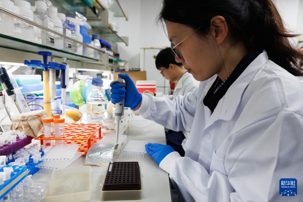 我国科学家发现野生稻“长寿基因”