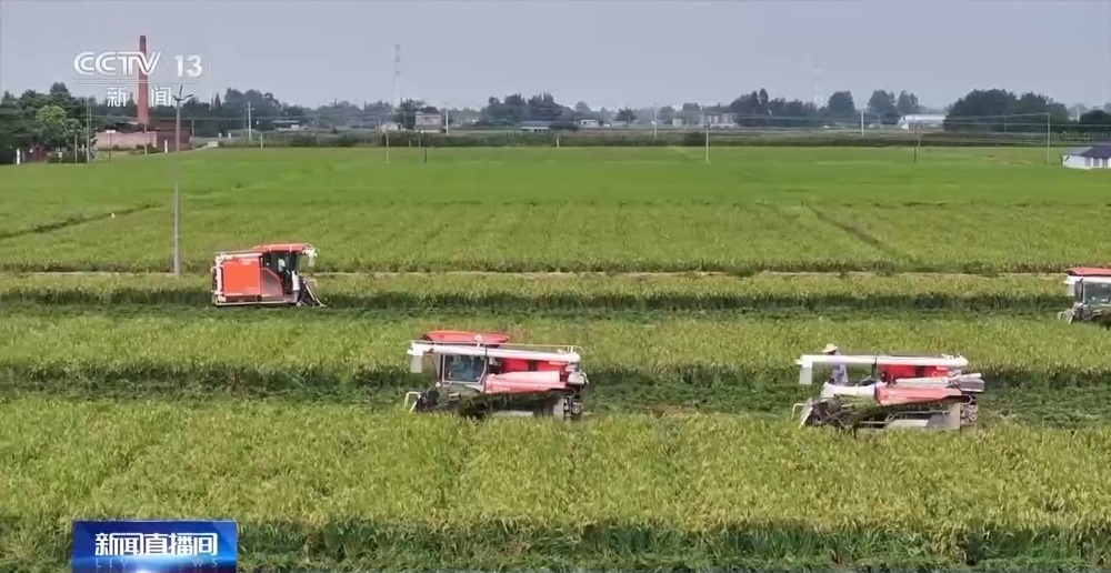 我国科学家成功克隆“长寿基因” 首创一次播种多年收获水稻