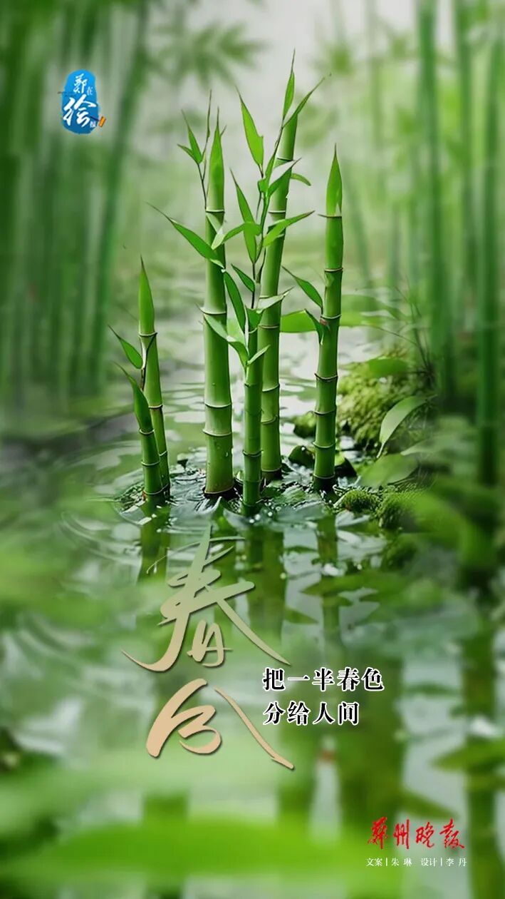 郑在绘报 | 春分：把日子过成刚刚好的样子