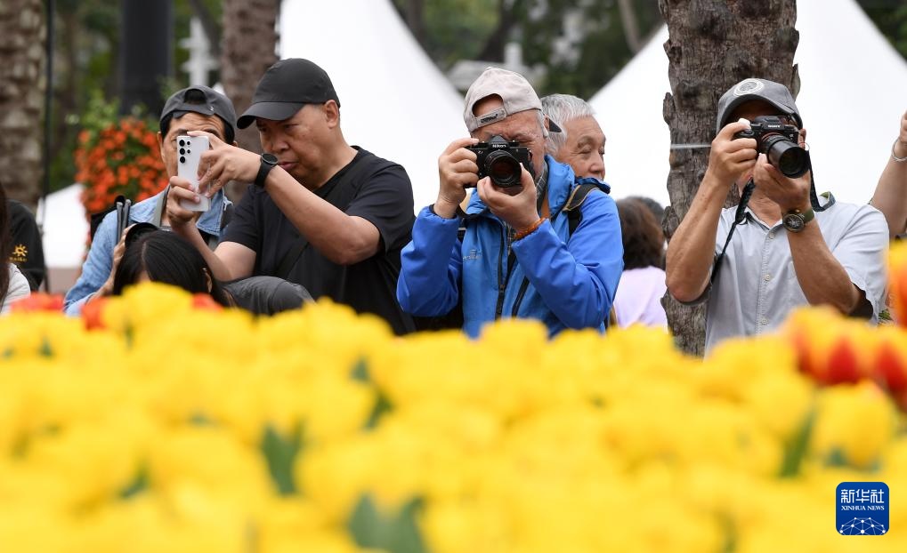 香港花卉展开幕 香港花卉展开幕