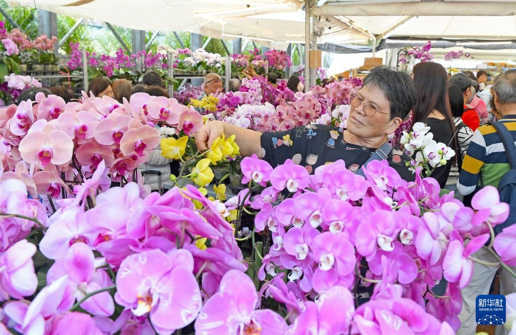 香港花卉展开幕 香港花卉展开幕