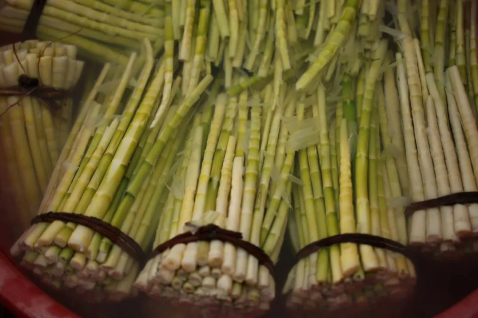 上春山｜春分，挖笋去！这份指南请收好