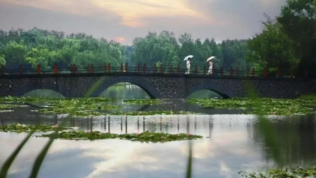 春假福利来了！合肥野生动物园、姥山岛等多个景区免门票