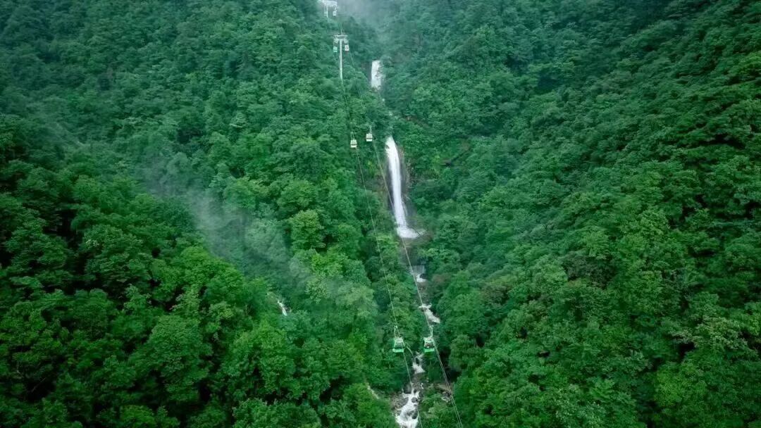 春假福利来了！合肥野生动物园、姥山岛等多个景区免门票