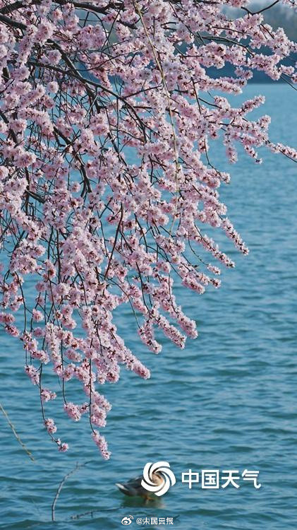 颐和园大写的春和景明