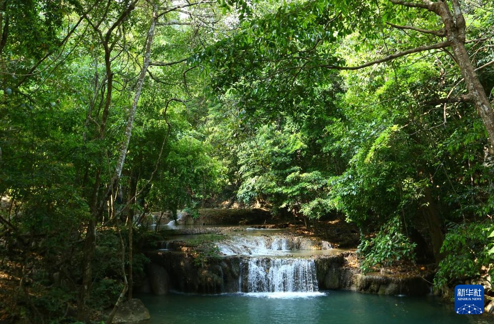 魅力亚太丨“国际森林日”——走进泰国爱侣湾国家公园