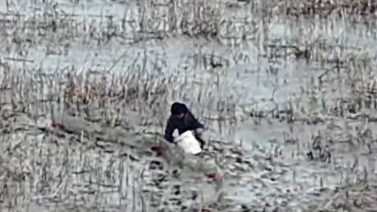 夜深人静去滩涂干这事，以为能瞒天过海？