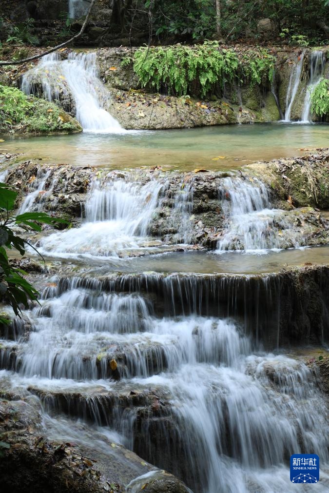 魅力亚太丨“国际森林日”——走进泰国爱侣湾国家公园