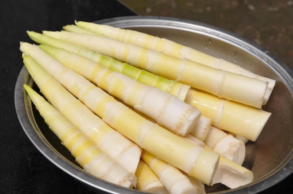 上春山｜春分，挖笋去！这份指南请收好